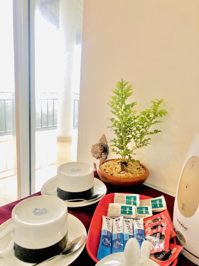 נוארה אליה Seeming Lodge מראה חיצוני תמונה